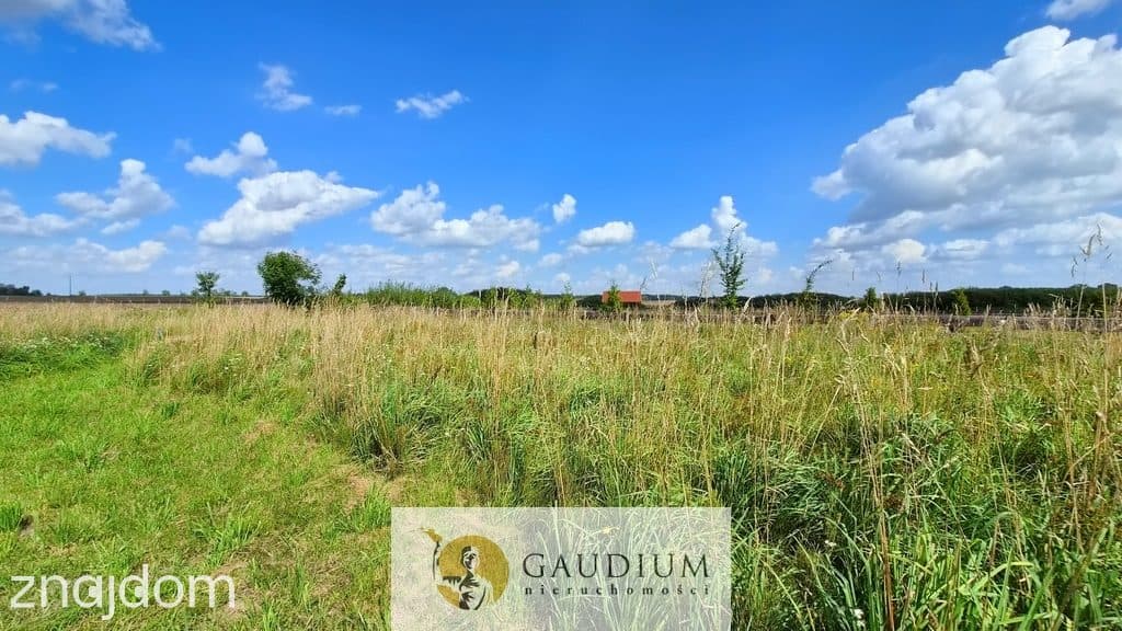 Oaza ciszy 300 m od Jezioraka! 2711 m² z domkiem - zdjęcie 5