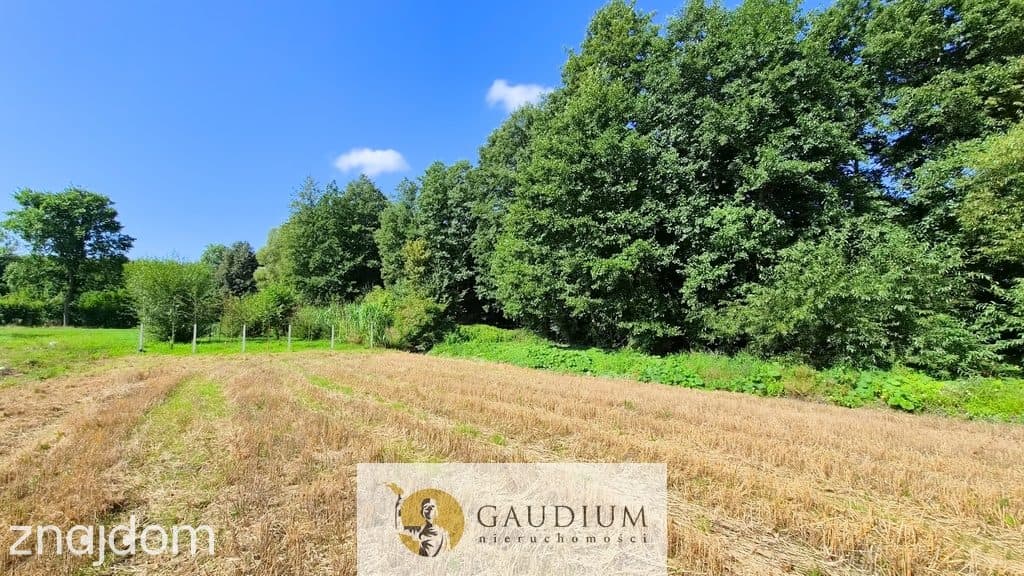 Działka budowlana 1182 m2 z WZ | Warmia | Lubnowo - zdjęcie 5