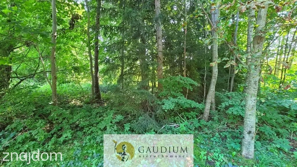 Działka budowlana 1182 m2 z WZ | Warmia | Lubnowo - zdjęcie 3