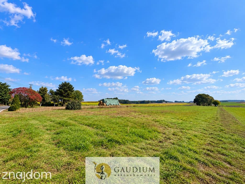 DZIAŁKA 600 m² NA SPRZEDAŻ – TORZEWO, GM. KOZJATY - zdjęcie 6