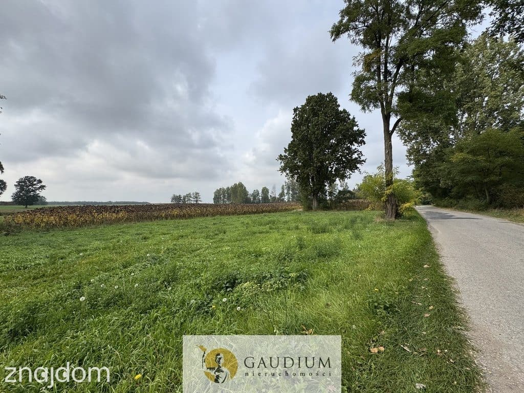 Działka 300 m² z warunkami zabudowy – Kozjaty, gm. Topólka - zdjęcie 3
