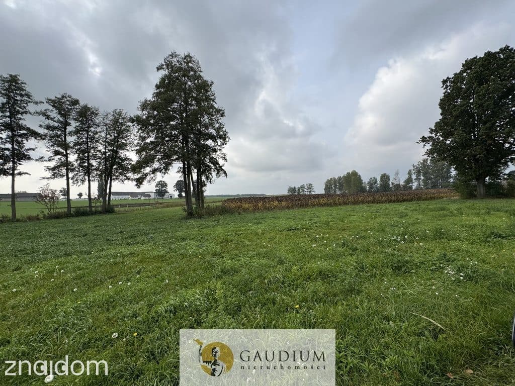 Działka 300 m² z warunkami zabudowy – Kozjaty, gm. Topólka
