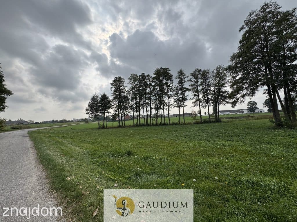 Działka 300 m² z warunkami zabudowy – Kozjaty, gm. Topólka - zdjęcie 5