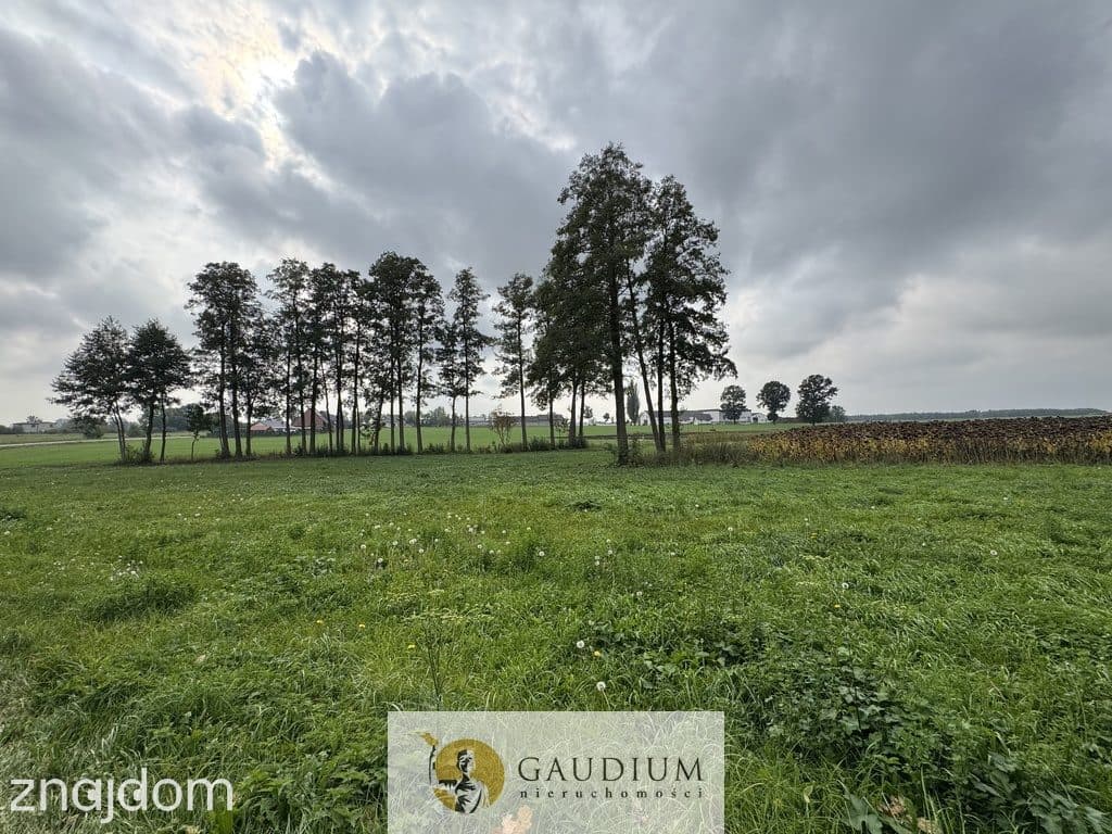 Działka 300 m² z warunkami zabudowy – Kozjaty, gm. Topólka - zdjęcie 6