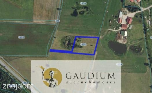 Działka budowlana z WZ | Warmia | Sołtysowizna - zdjęcie 12