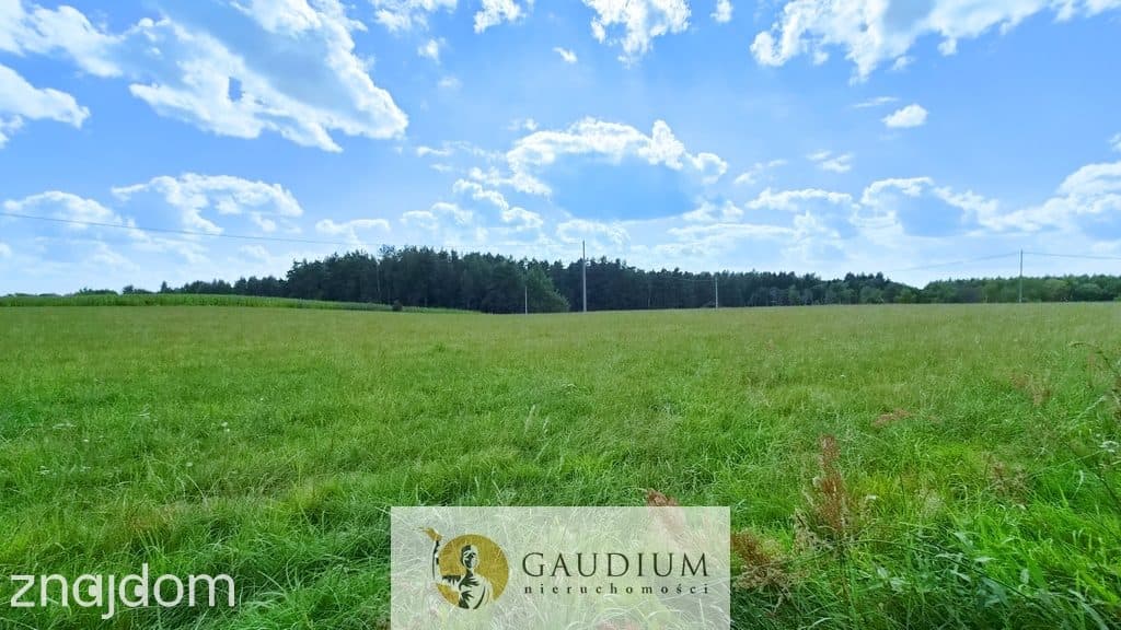 Działka budowlana z WZ | Warmia | Sołtysowizna - zdjęcie 9