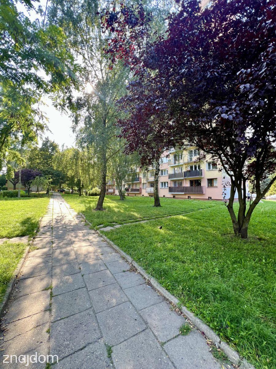 3 pokoje dla rodziny lub świetna inwestycja! - zdjęcie 10