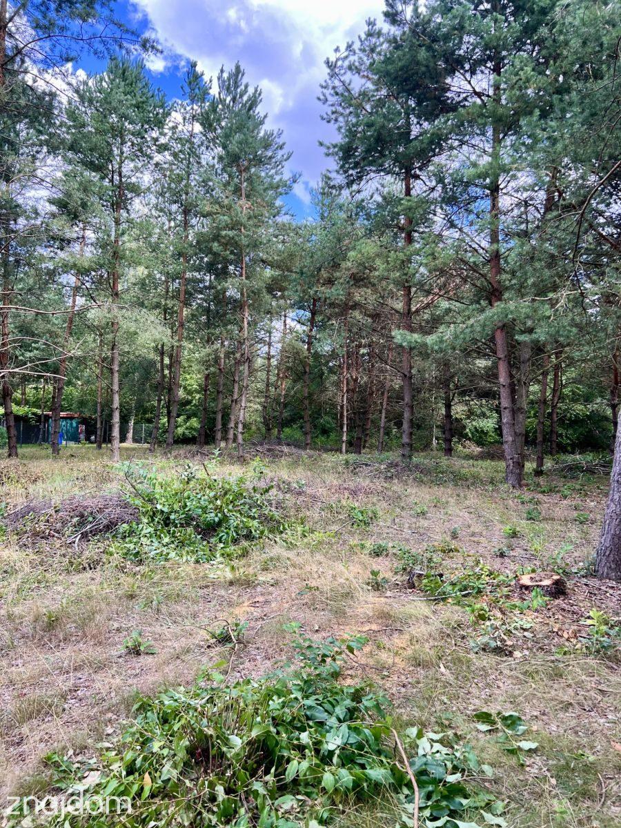 Działka pod dom lub wypoczynek-Prawda gm. Rzgów - zdjęcie 2