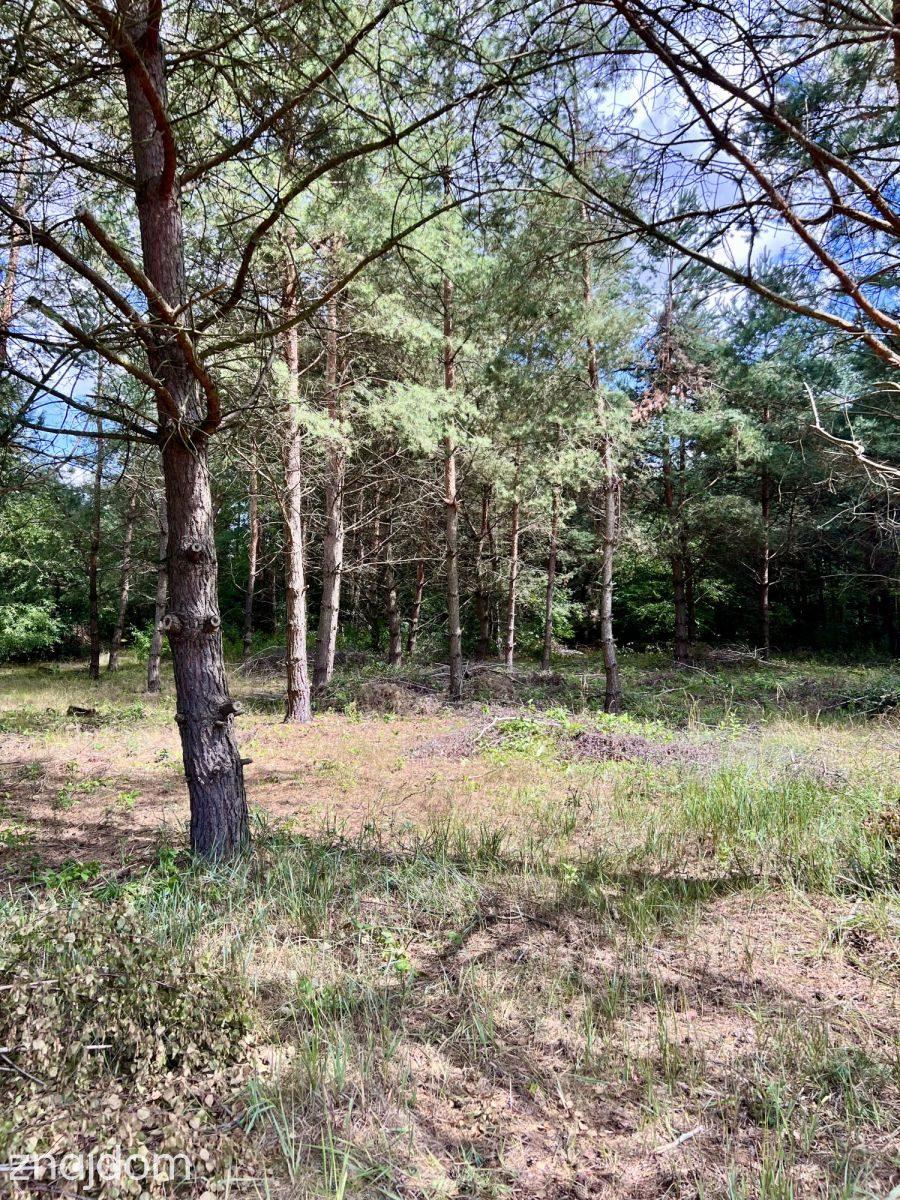 Działka pod dom lub wypoczynek-Prawda gm. Rzgów