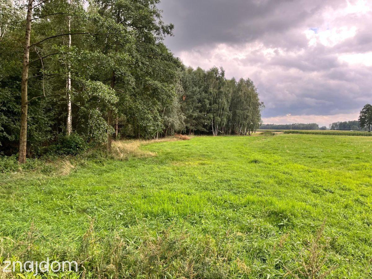 Działki w Dobków pod zabudowę domu jednorodzinnego - zdjęcie 4