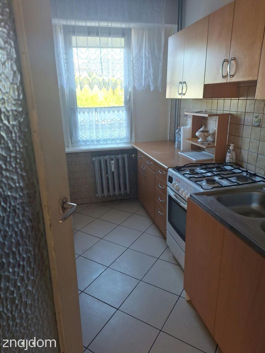 53 m2 na parterze ul. Batorego w Łasku - zdjęcie 12