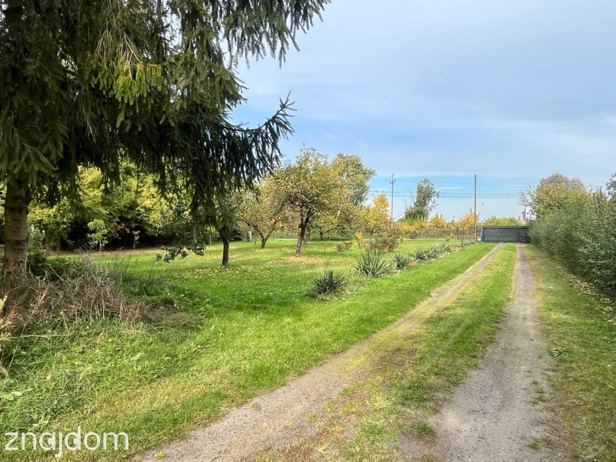 Dom 80 m² + działka 8100 m² - zdjęcie 8