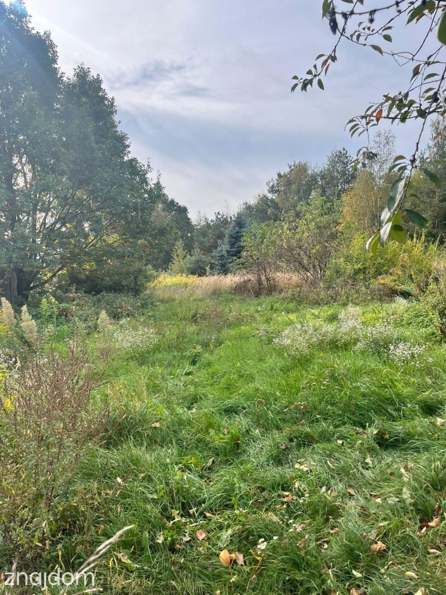 Dom 80 m² + działka 8100 m² - zdjęcie 9