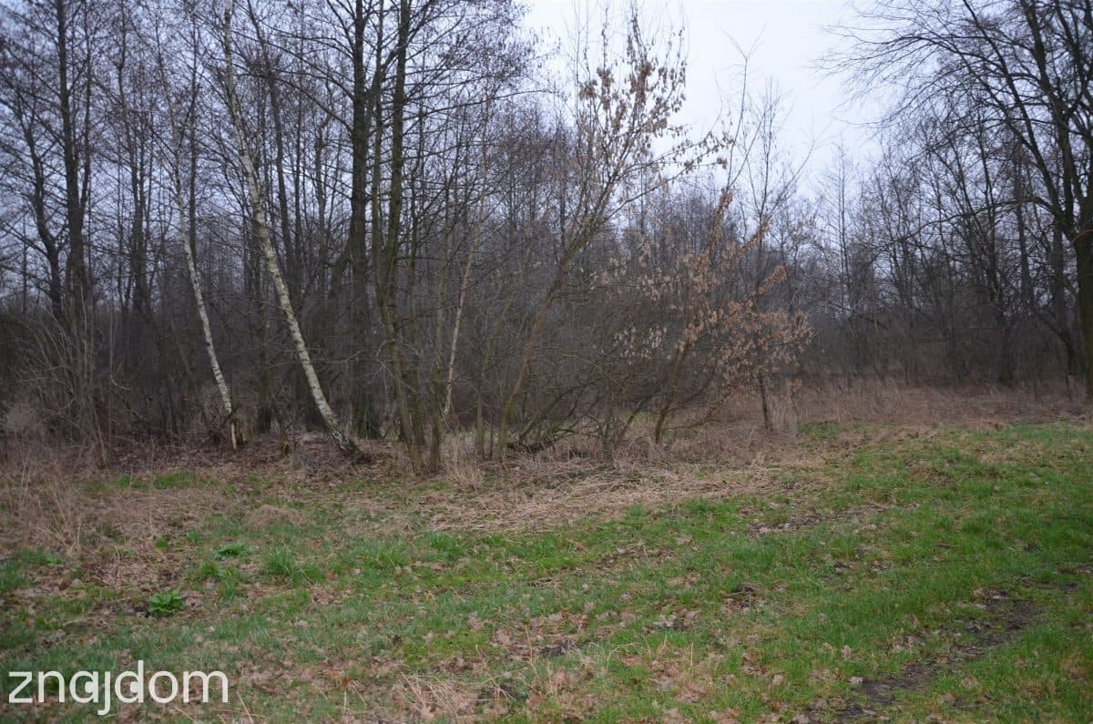 Wyjątkowe siedlisko na sprzedaż - zdjęcie 2
