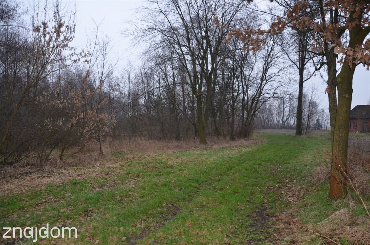 Wyjątkowe siedlisko na sprzedaż - zdjęcie 3