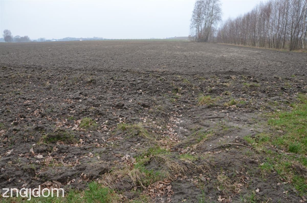 Wyjątkowe siedlisko na sprzedaż - zdjęcie 5