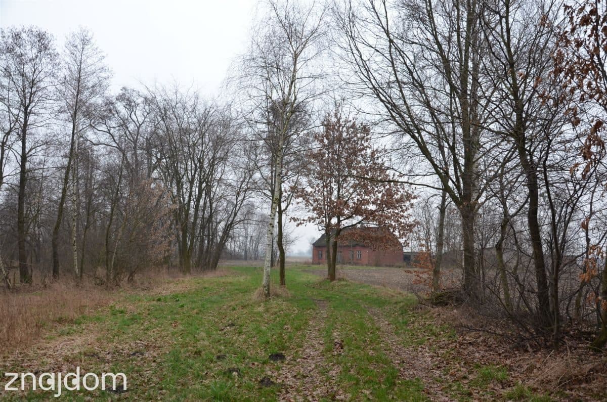 Wyjątkowe siedlisko na sprzedaż - zdjęcie 6