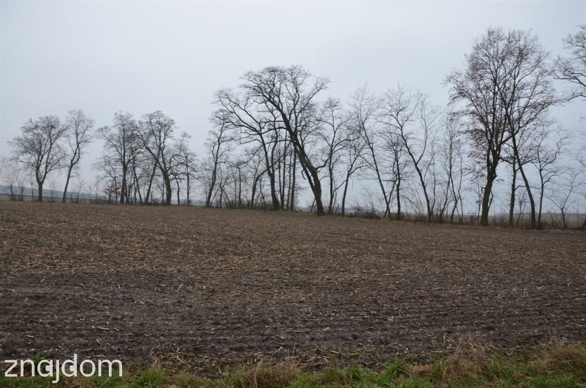 Wyjątkowe siedlisko na sprzedaż - zdjęcie 8