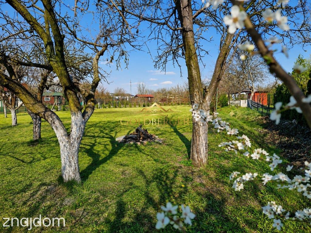 Na sprzedaż atrakcyjna działka ROD – 7 arów - zdjęcie 8