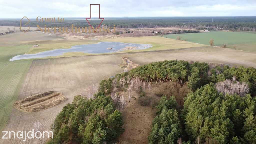 ZABUDOWA REZYDENCJONALNA | PUSZCZA ZIELONKA - zdjęcie 6