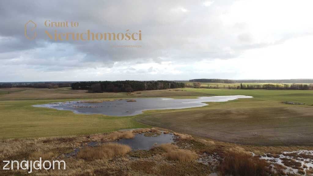 ZABUDOWA REZYDENCJONALNA | PUSZCZA ZIELONKA - zdjęcie 13