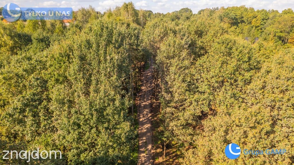 Budowalne 7,5ar wśród starodrzewu *Zagacie* Czernichów - zdjęcie 8