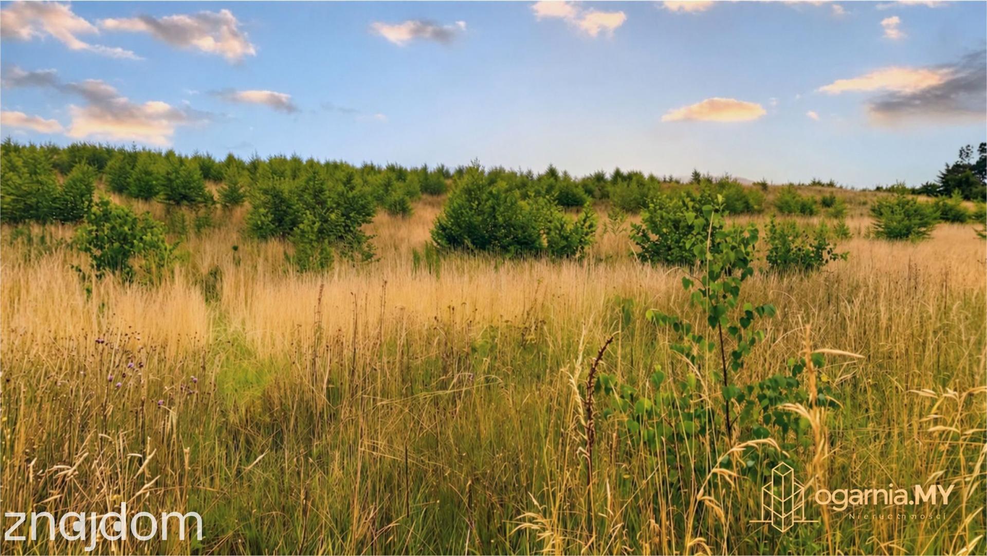 Mosty | 147 m² | 5 pokoi | garaż | ogród | Błękitna Mila - zdjęcie 5