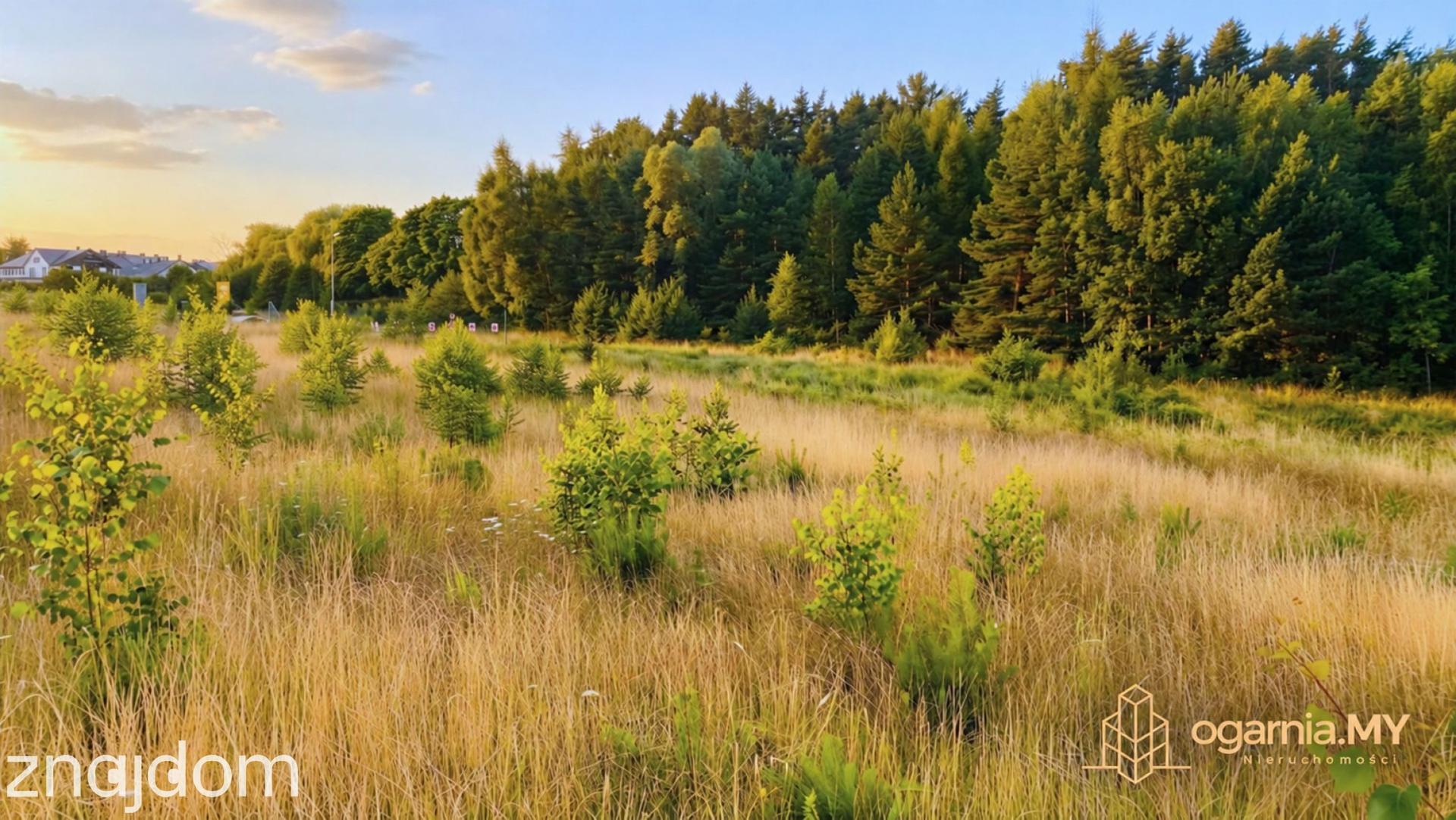 Mosty | 147 m² | 5 pokoi | garaż | ogród | Błękitna Mila - zdjęcie 7