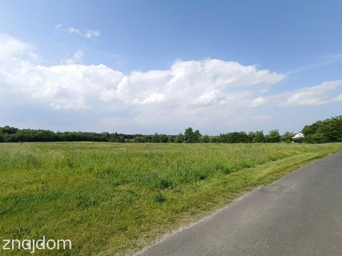 Twój azyl pod Strykowem – 4760 m² ciszy i natury