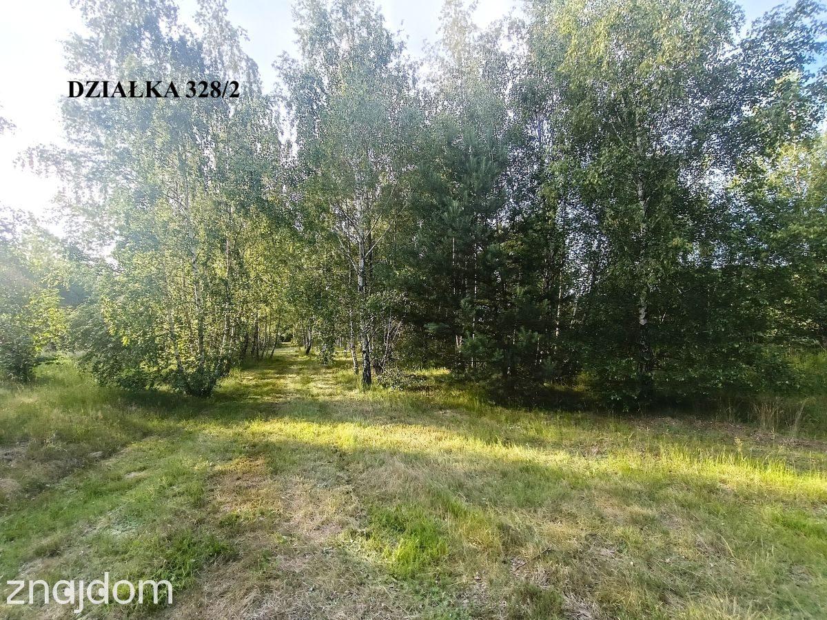 Twój azyl pod Strykowem – 4760 m² ciszy i natury - zdjęcie 7