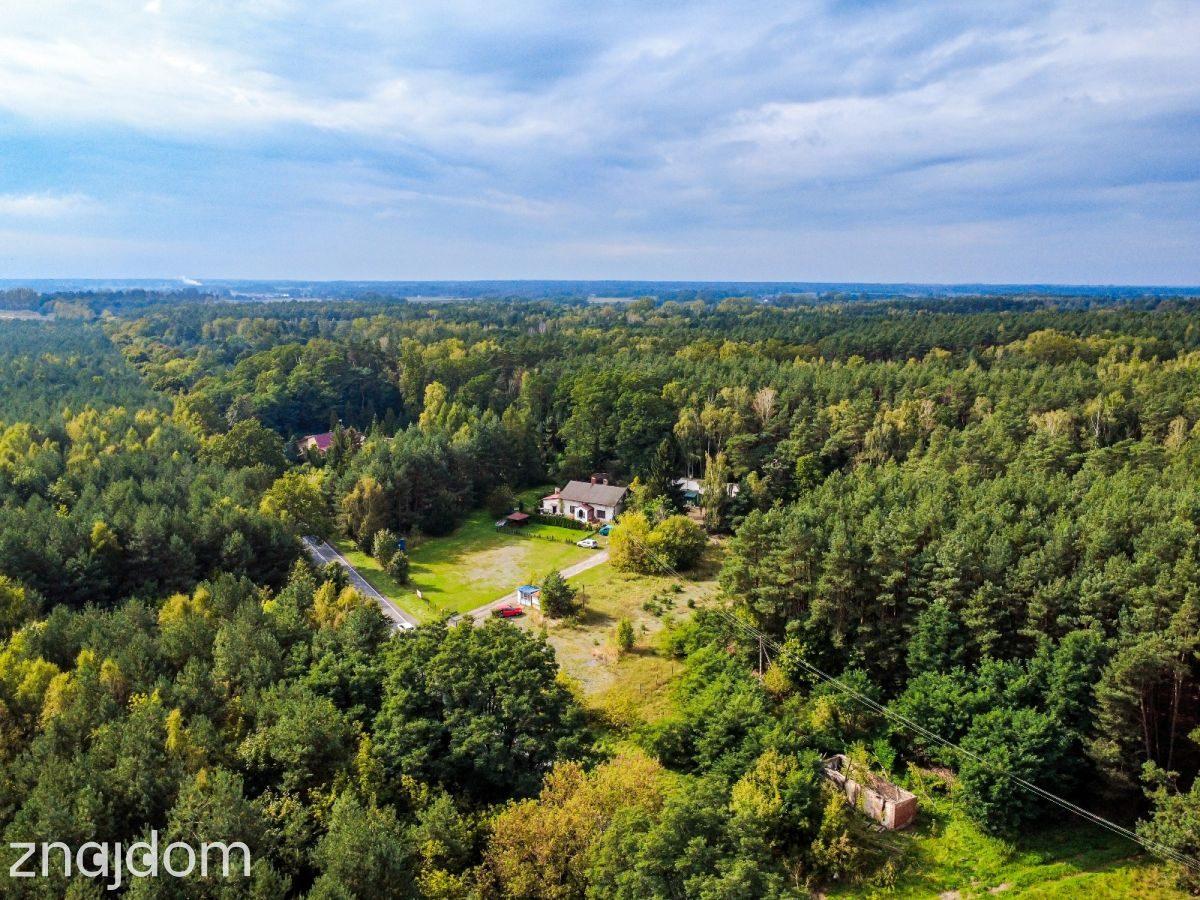 Działka 1896 m² przy lesie we Florentynowie - zdjęcie 3