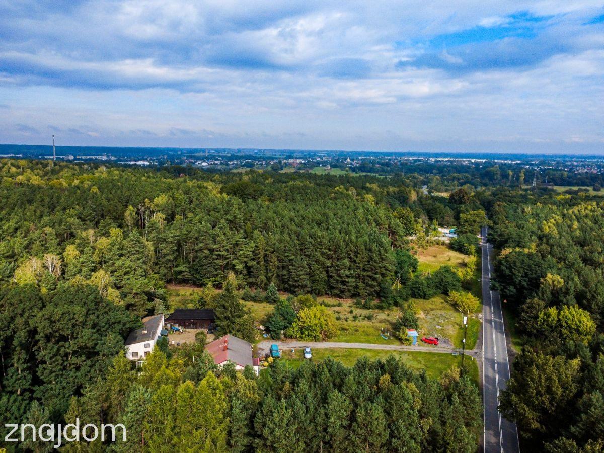 Działka 1896 m² przy lesie we Florentynowie - zdjęcie 4
