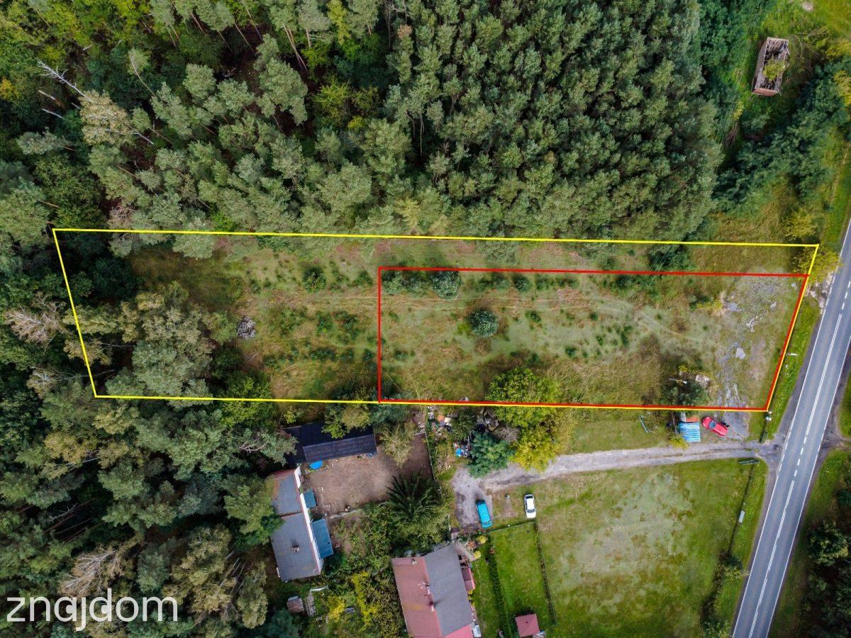 Działka 1896 m² przy lesie we Florentynowie - zdjęcie 2