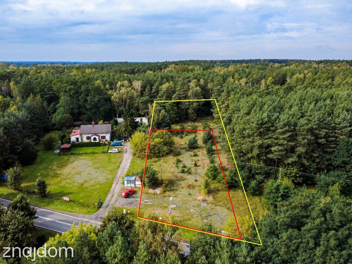 Działka 1896 m² przy lesie we Florentynowie