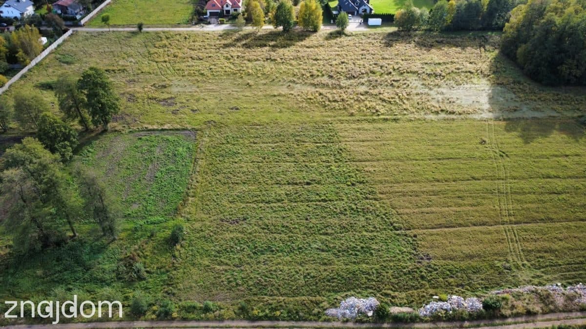 1000m2 w Łodzi w otoczeni zieleni - zdjęcie 3