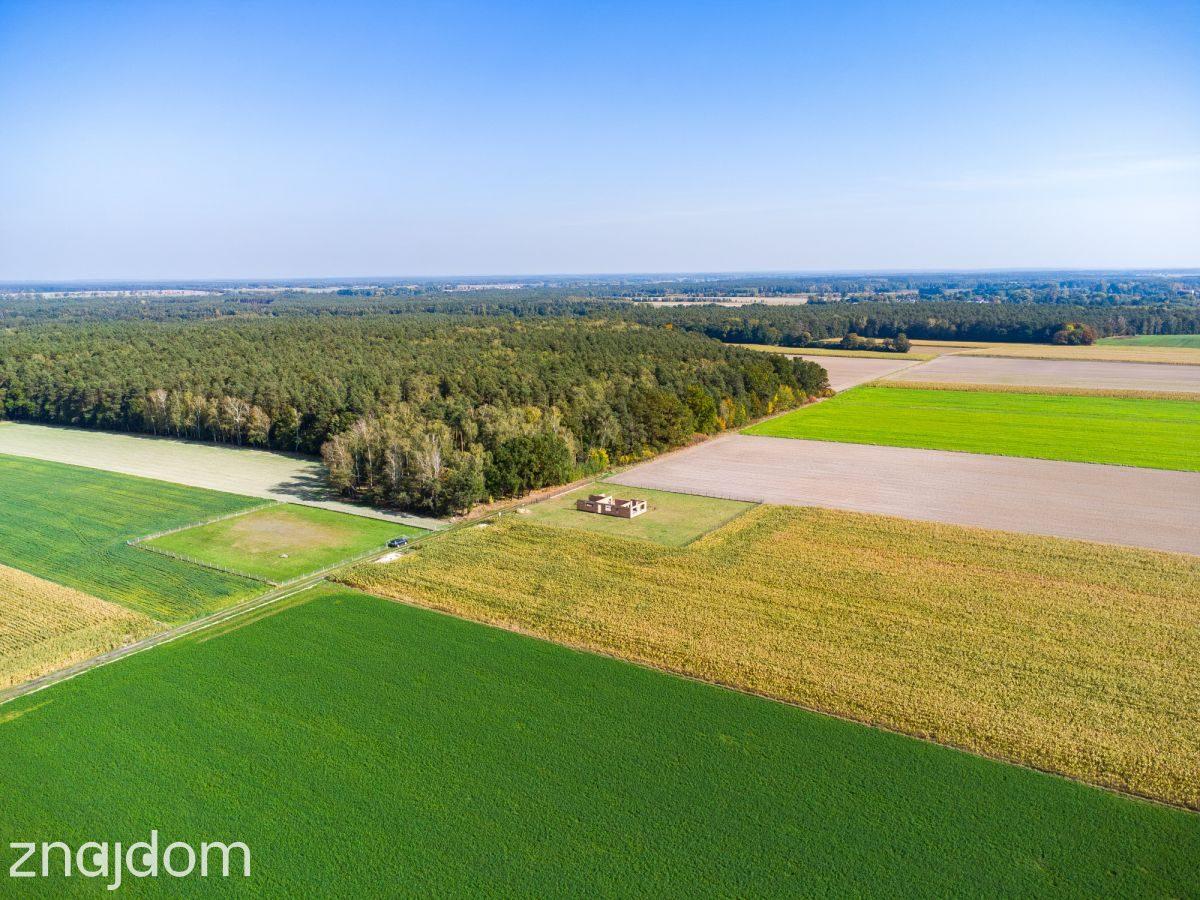 Działka 3023 m² z pozwoleniem i mediami, k. Szadku - zdjęcie 11