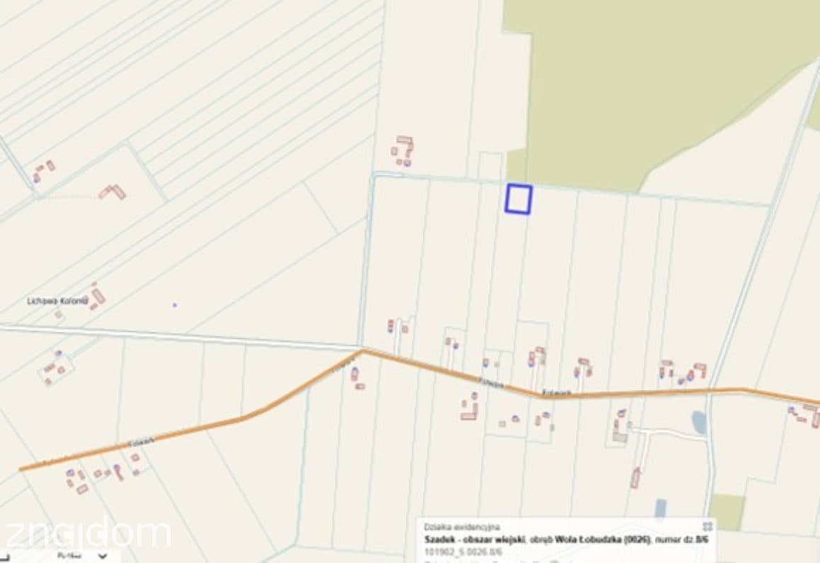 Działka 3023 m² z pozwoleniem i mediami, k. Szadku - zdjęcie 12