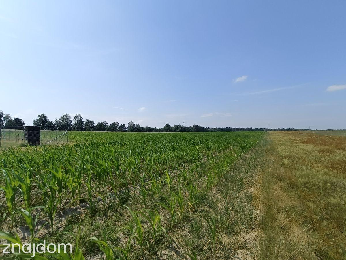 Przestronna działka budowlana - cisza, spokój - zdjęcie 4