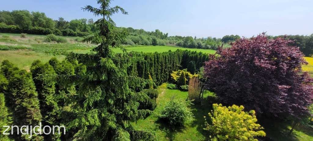 od Wrocławia 38 minut, miasto Żarów - zdjęcie 2