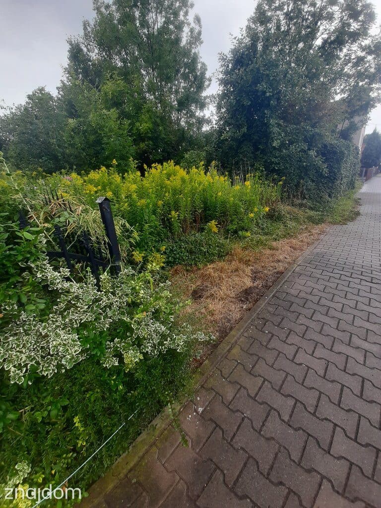 Sadowice, gm. Kąty Wrocławskie, budowlana - zdjęcie 5