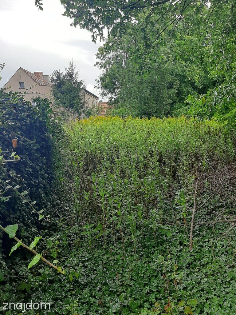 Sadowice, gm. Kąty Wrocławskie, budowlana - zdjęcie 8