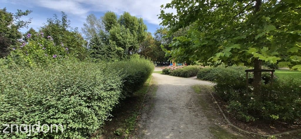 Świetne miejsce, centrum, komunikacja miejska - zdjęcie 13