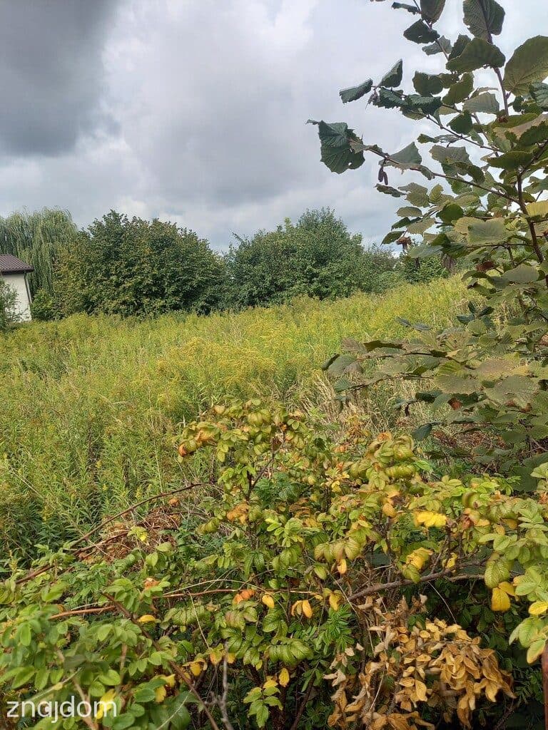 Byków, gm. Długołęka, Budowlana - zdjęcie 4
