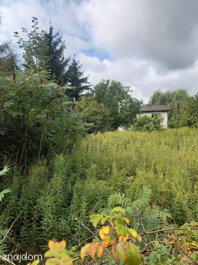 Byków, gm. Długołęka, Budowlana - zdjęcie 5