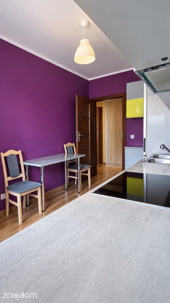 Południe Wrocławia, rozkład, 2 garaże - zdjęcie 12