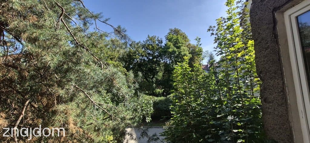 Plac Grunwaldzki, przy uczelniach i w centrum - zdjęcie 10