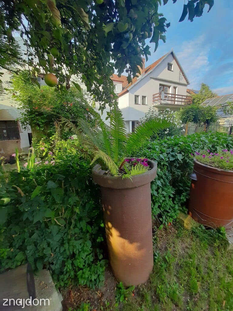 Wrocław Pawłowice. Wolnostojący - zdjęcie 4