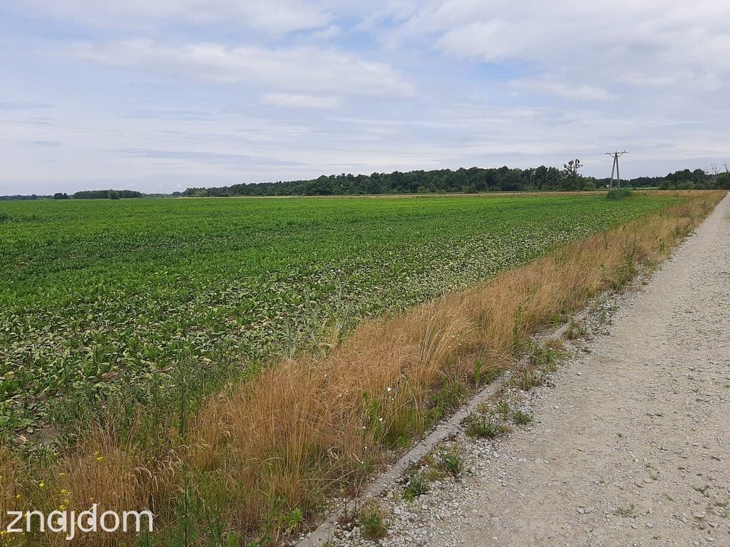 Krzyków, gm. Czernica, rolna