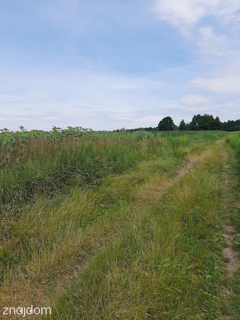Krzyków, gm. Czernica, rolna - zdjęcie 3