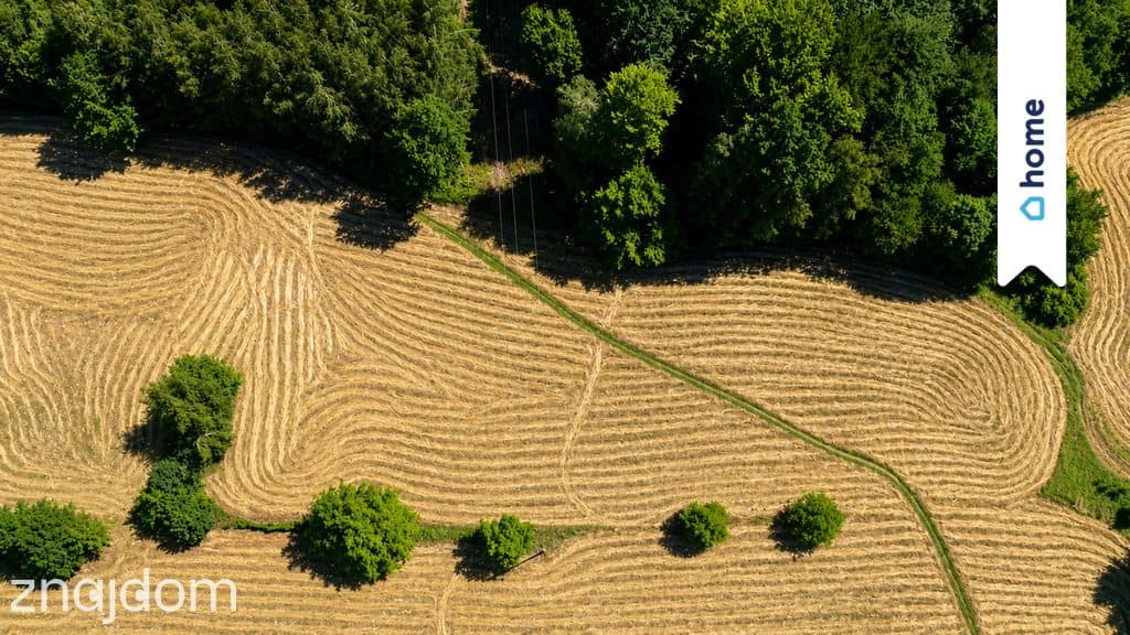 Działka 4300 m² w Babicy | Blisko Rzeszowa - zdjęcie 2